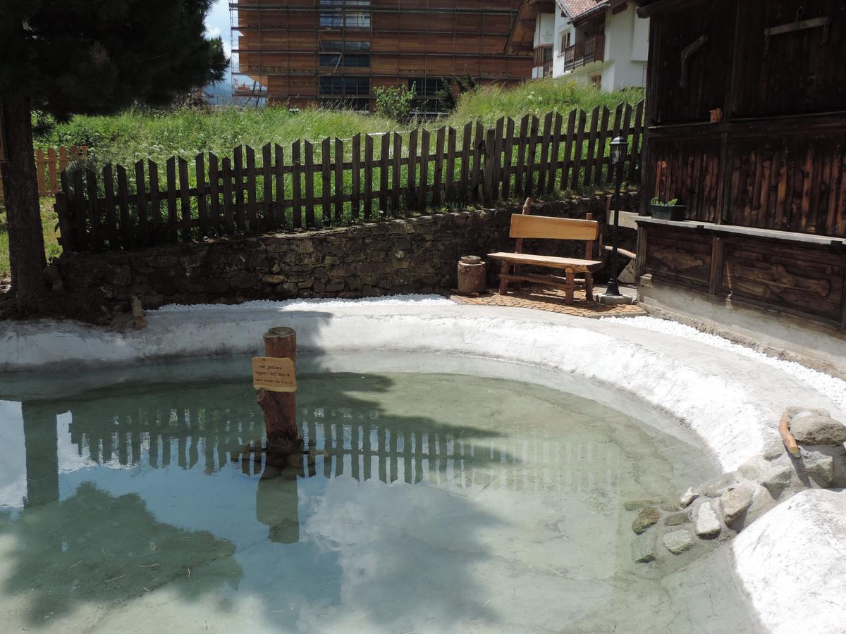 Hotel Montana Pozza di Fassa Dış mekan fotoğraf